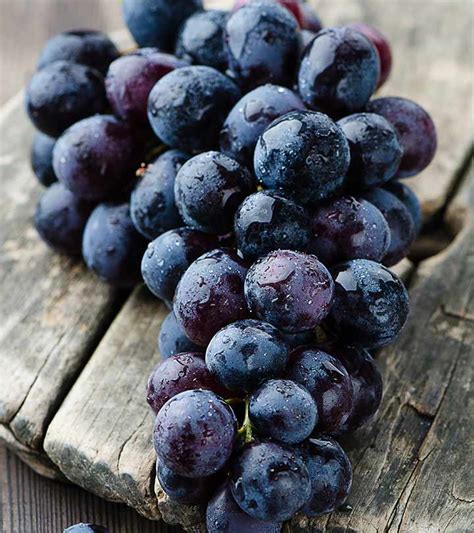 Black grape - Helps your immune system. Since grapes are a great source of vitamin C, they may help your immune system fight against bacterial and viral infections like yeast infections. “If we have a strong ... 